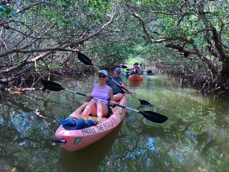 Tavernier, FL: Mangrove and Manatees Guided Kayak Eco Tour - Key Points