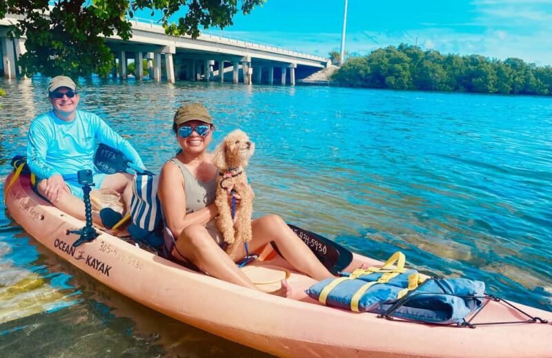 Tavernier, FL: Mangrove and Manatees Guided Kayak Eco Tour - Accessibility and Physical Requirements