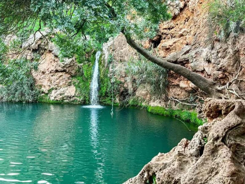 Tavira: 4x4 Jeep Adventure, Salt Pink Pans & Hidden Nature - Discover Tavira in a Classic Portuguese UMM Jeep