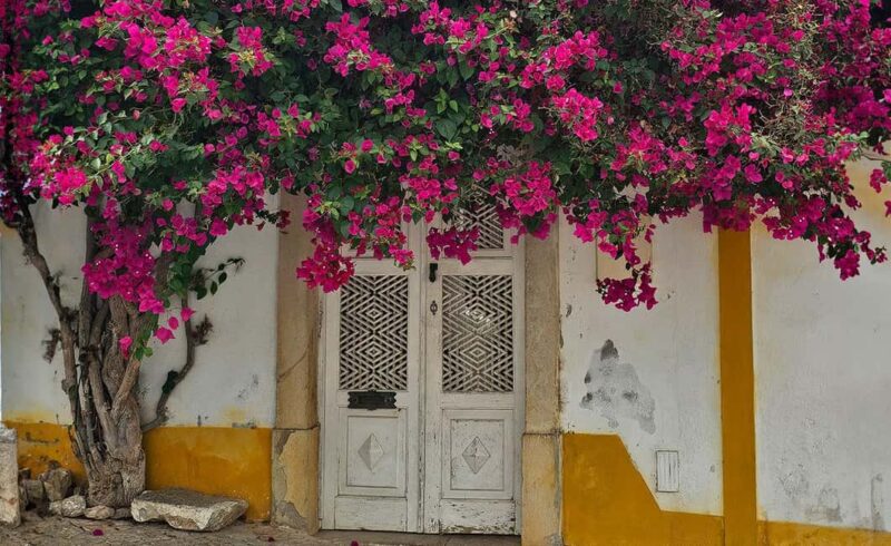 Tavira City & Ice Cream - Ice Cream Break at a Partnered Parlour