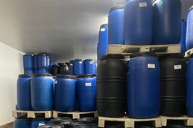 Tavira Olive Experience Factory Tour and Tasting - Group Size and Flexibility