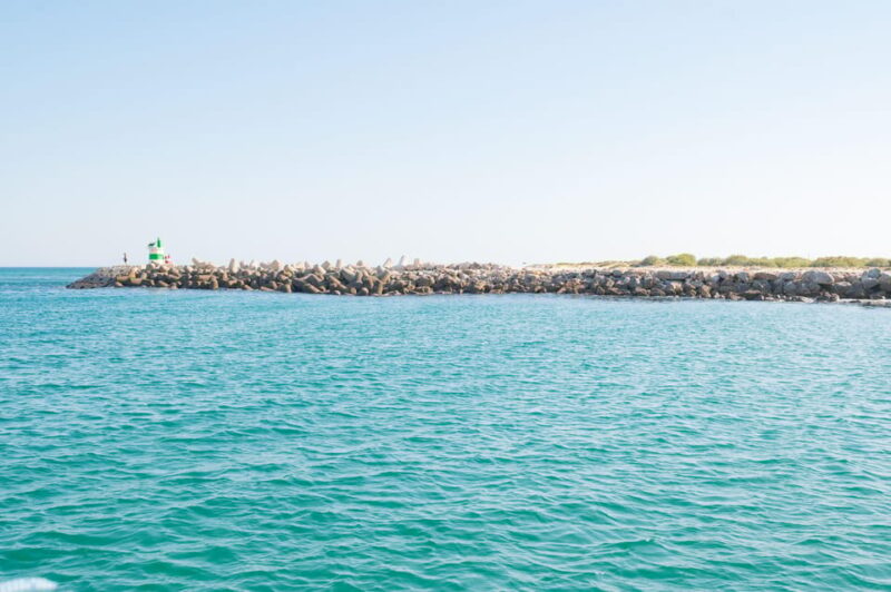 Tavira: Passeio Half Day - Stand-Up Paddleboarding with Gentle Guidance