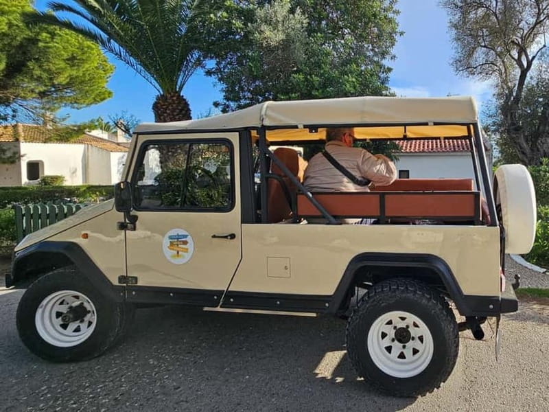 Tavira, Santa Luzia & Wine Tasting - Tavira, Santa Luzia & Wine Tasting: An Authentic Algarve Experience