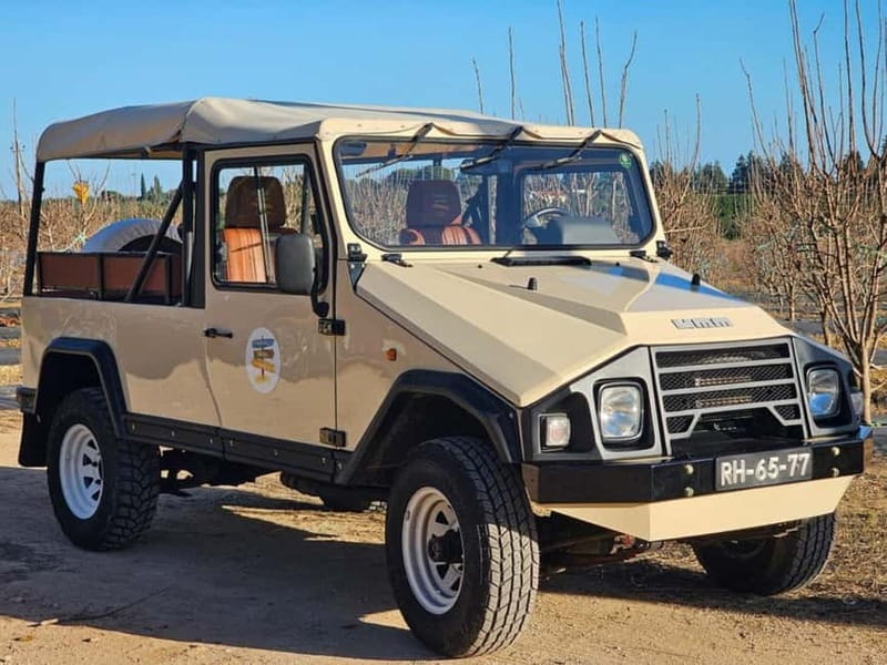 Tavira, Santa Luzia & Wine Tasting - Key Points