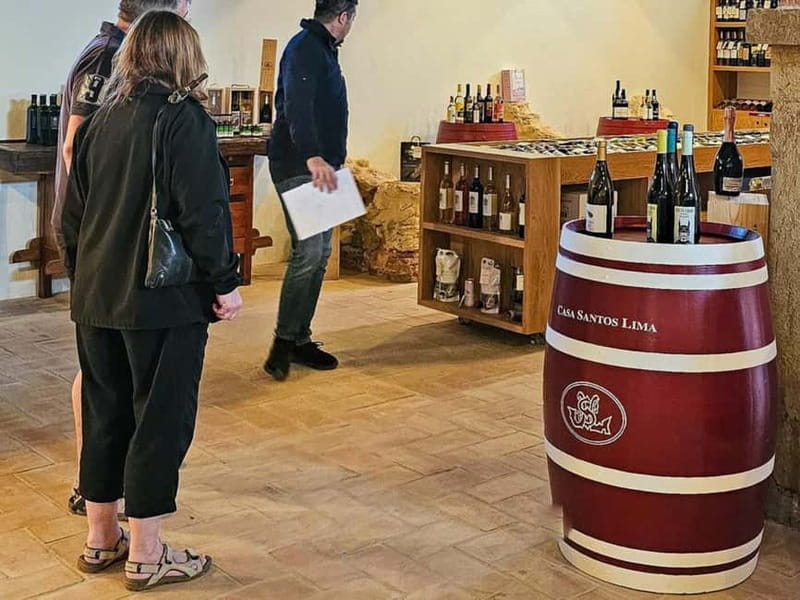 Tavira, Santa Luzia & Wine Tasting - Algarve Wine Tasting: Red, Rose, and White