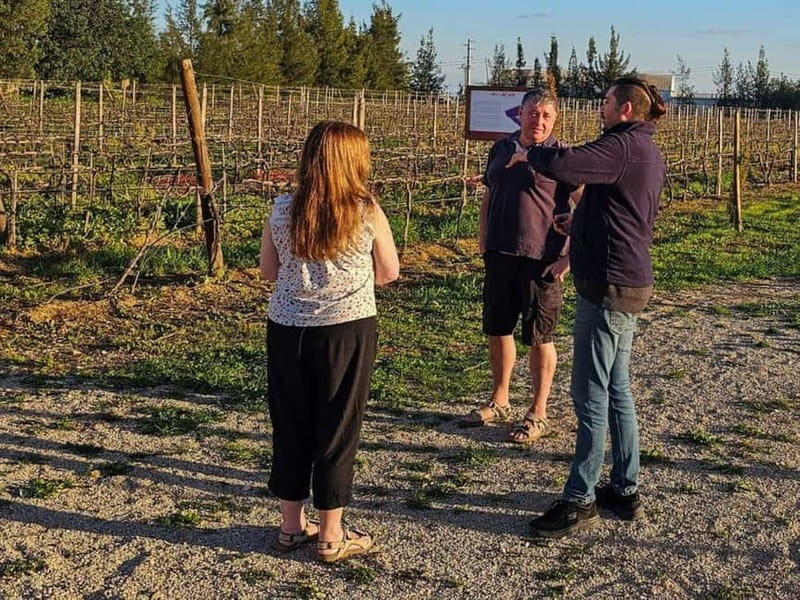 Tavira, Santa Luzia & Wine Tasting - Who Should Consider This Tour?