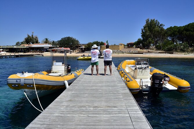 Tavolara and Molara Snorkeling with Guide - Snorkeling Surprises and Marine Life Encounters