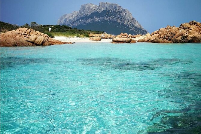 Tavolara Marine Protected Area Tour (GROUP) - Key Points