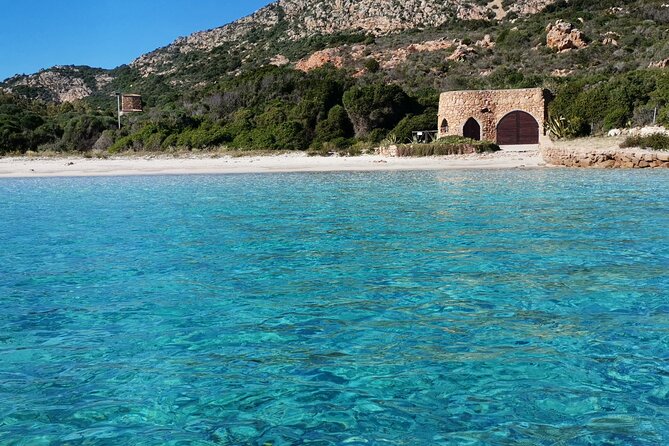 Tavolara Marine Protected Area Tour (GROUP) - Visiting Tavolara Island’s Cliffs and Wild Goats