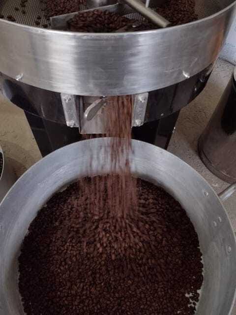 Taxco: Organic Coffee Garden Experience - Sampling Local Organic Food on the Coffee Tour