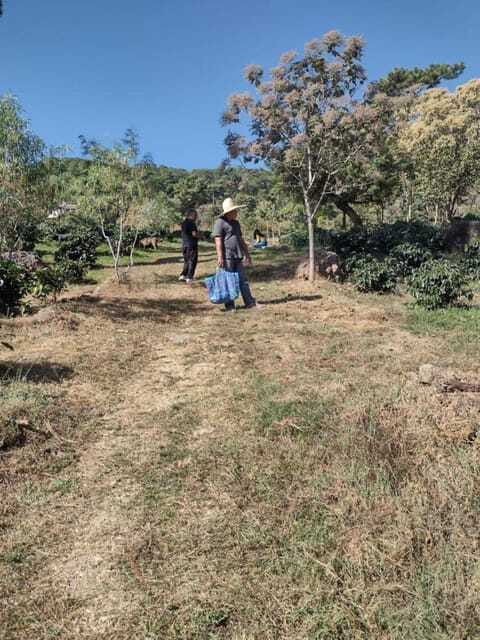 Taxco: Organic Coffee Garden Experience - Frequently Asked Questions