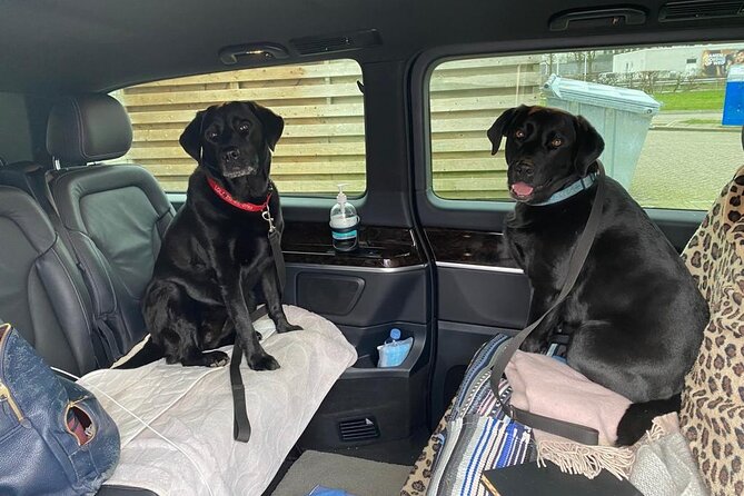 Taxi, Airport Transfer and Limousine Service in Switzerland - Frequently Asked Questions