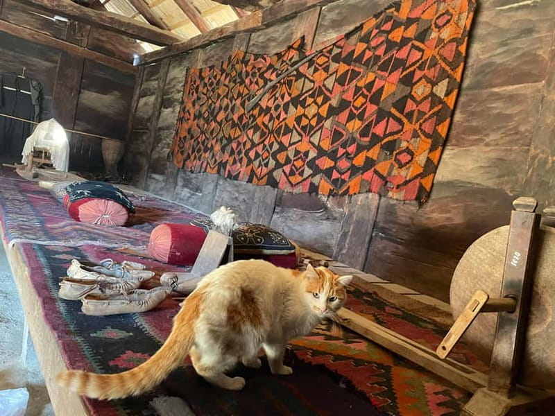 Tbilisi: 12 Regions of Georgia - Tour with Round Transfers - Who Will Enjoy This Tour Most?