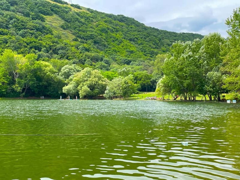 Tbilisi 2 Parks: Turtle Lake & Dedaena Park with Flea Market - Who Will Enjoy This Tour Most