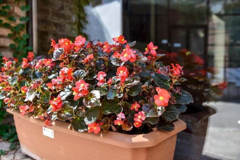 Tbilisi: 3-Day Stay with City Tour and Hidden Gems - Final Thoughts on the 3-Day Tbilisi Tour