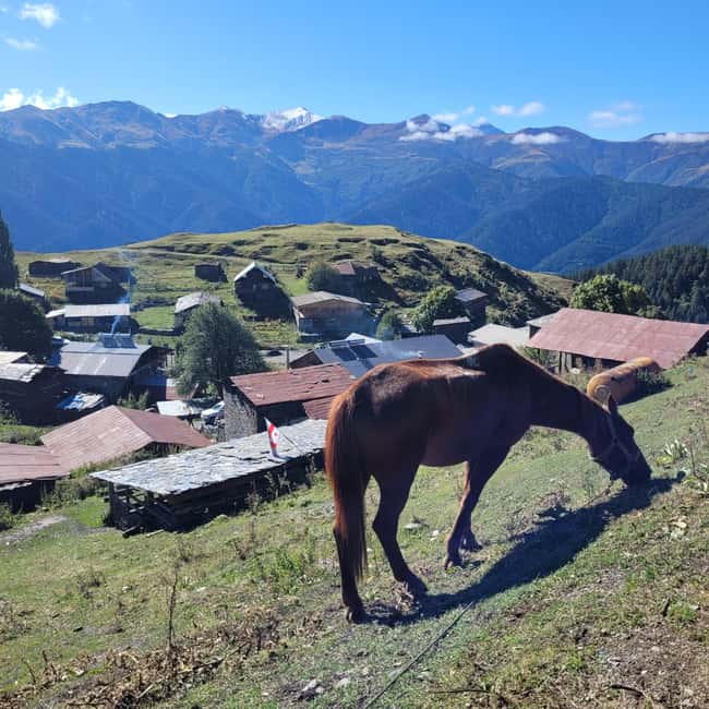 Tbilisi: 3-Day Tusheti Mountains Tour with Meals and Hotel - Cultural Experiences and Traditional Architecture