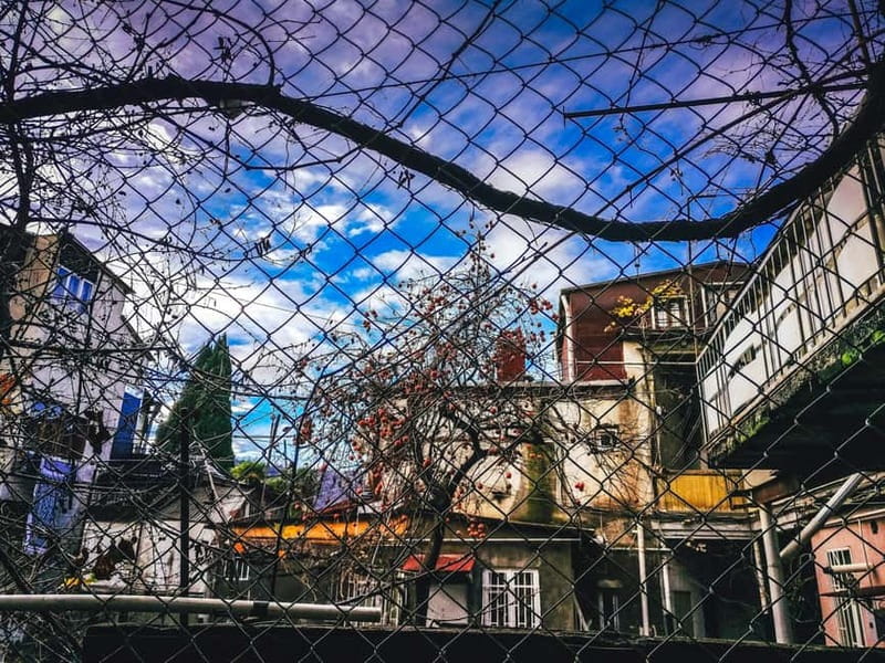 Tbilisi: 50+ Hidden Gems Guided Tour - Visiting Iconic Landmarks with a Local Perspective