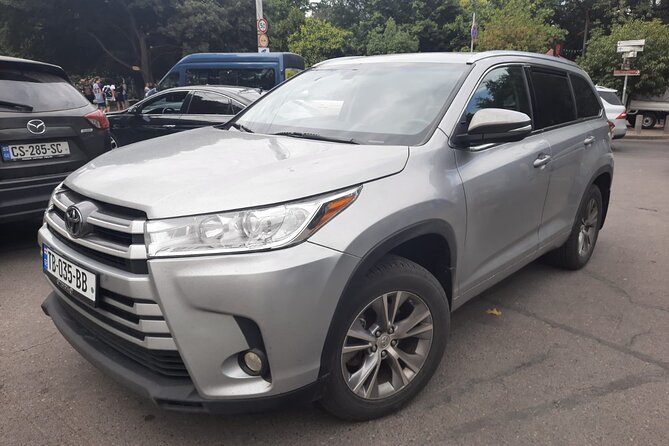 Tbilisi Airport Round-Trip Transfer - Meeting Point and Pickup Details in Tbilisi