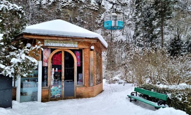 Tbilisi: Borjomi and Bakuriani Day Trip with Guide - Discover Borjomi and Bakuriani in a Single Day