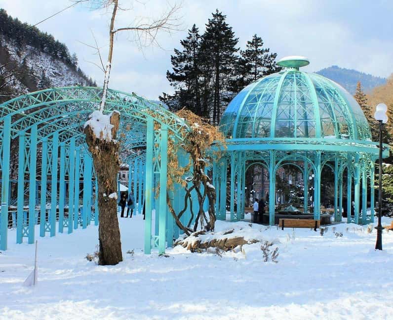 Tbilisi: Borjomi and Bakuriani Day Trip with Guide - Borjomi’s Winter Charm and Mineral Water Experience