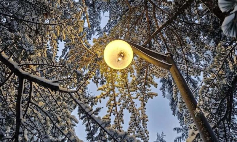 Tbilisi: Borjomi and Bakuriani Day Trip with Guide - Bakuriani’s Alpine Atmosphere and Winter Activities