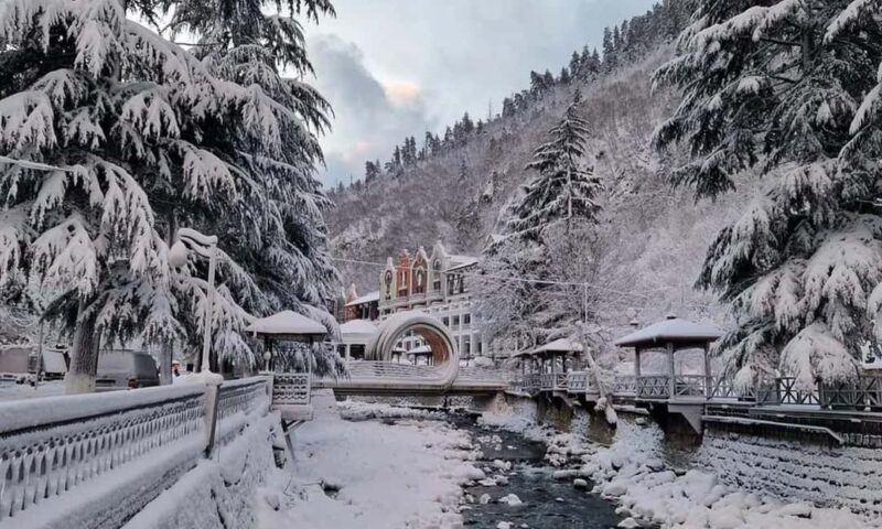 Tbilisi: Borjomi and Bakuriani Day Trip with Guide - The Itinerary and Time Allocation