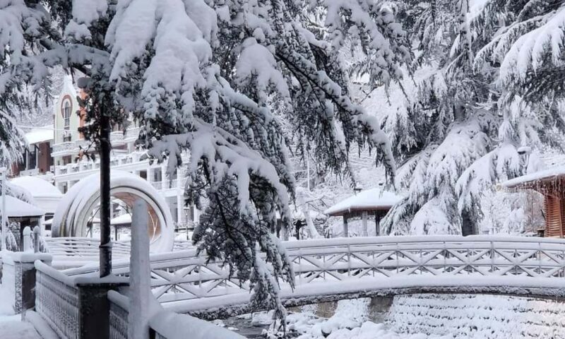 Tbilisi: Borjomi and Bakuriani Day Trip with Guide - The Experience of a Guided Group Tour