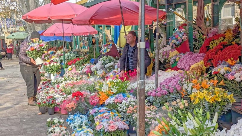Tbilisi: Christmas Market & Hidden Gems Guided Walking Tour - Tbilisi’s Festive Heart: Freedom Square and the Christmas Market