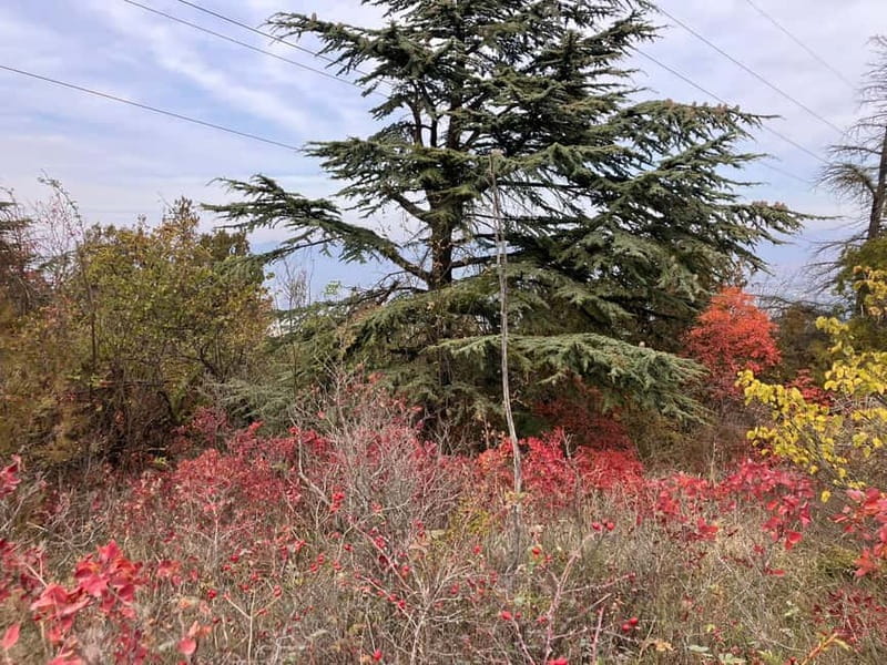Tbilisi: Delightful Trail over the City - Discovering the Route Along Mtatsminda and Tbilisi’s Gorges