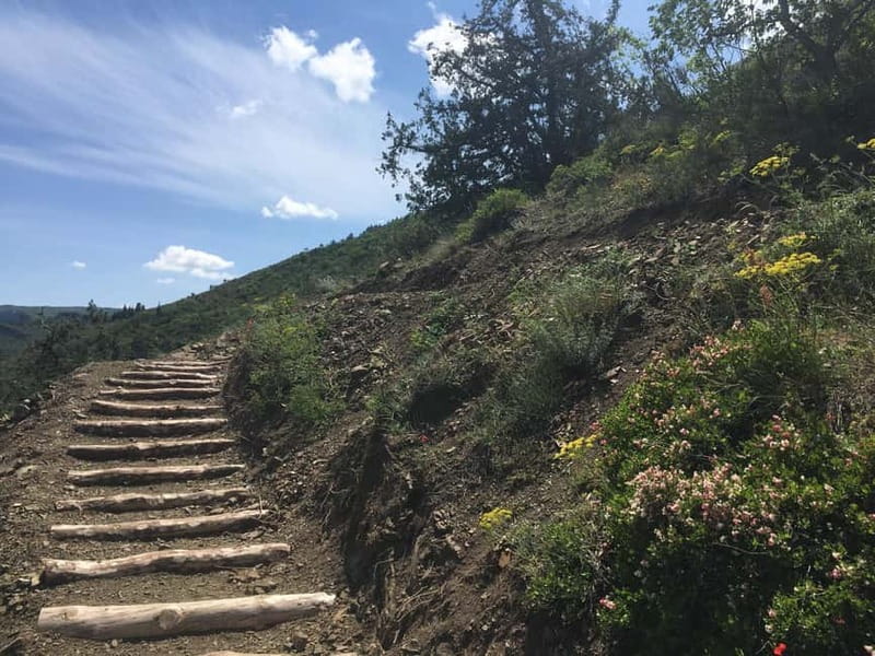 Tbilisi: Delightful Trail over the City - The Forests, Meadows, and Almond Orchards Along the Trail