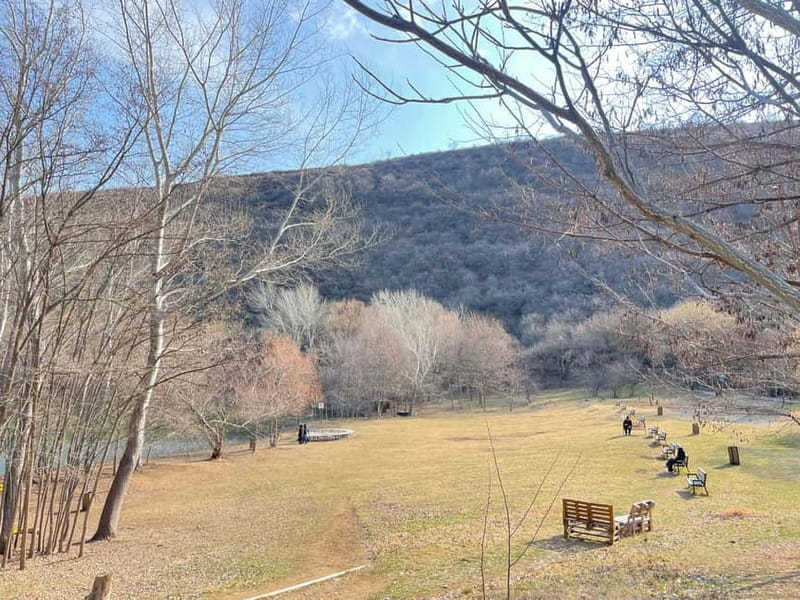 Tbilisi: Elegance of Traditional Architecture & Turtle Lake - The Sum Up: A Well-Rounded Cultural and Scenic Tour in Tbilisi