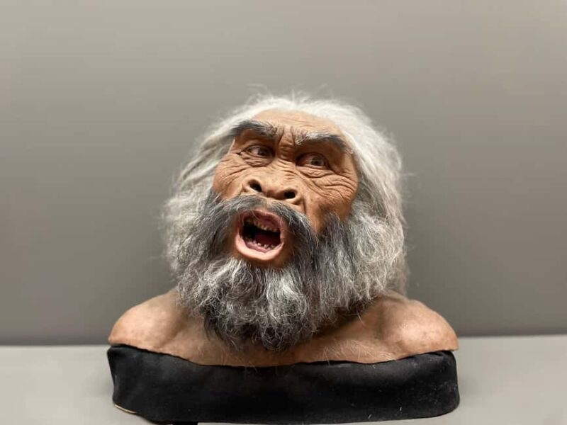 Tbilisi: Georgian National Museum Guided Tour - The Shift to the 20th Century and Soviet Era