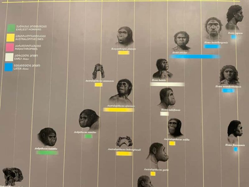 Tbilisi: Georgian National Museum Guided Tour - What Sets This Tour Apart from Similar Experiences