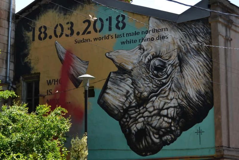 Tbilisi: Graffiti & Street Art Walking Tour - Practical Details and Logistics of the Tour