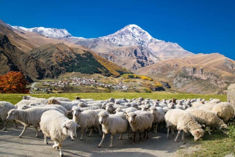 Tbilisi: Gudauri & Kazbegi Winter Action  Pickup & Views - Frequently Asked Questions