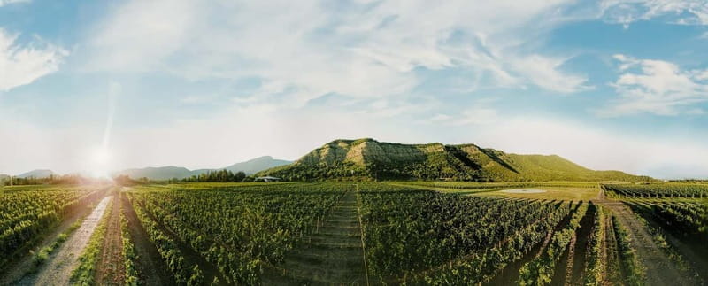 Tbilisi: Kakheti Horse Riding, Wine Tasting, and Cooking - Final Thoughts on the Kakheti Horse Riding, Wine, and Cooking Tour