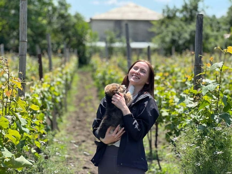 Tbilisi: Kakheti Private Wine Tour with Family Lunch - Discover the Best of Kakheti on a Private Day Trip from Tbilisi