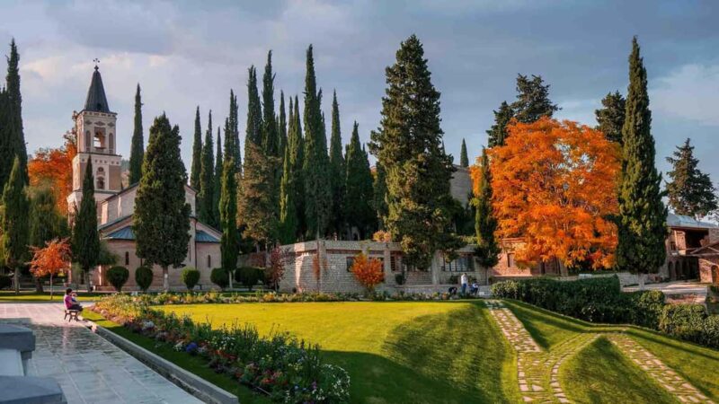 Tbilisi: Kakheti Wine Tour with Kindzmarauli Winery Visit - Exploring Manavi and Its Historic Charm