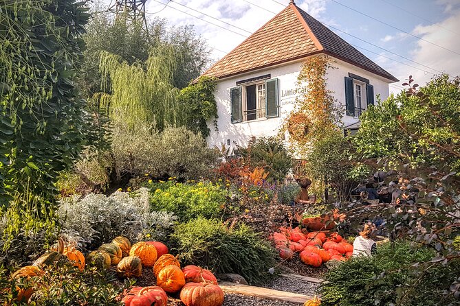 Tbilisi Lakes and Sightseeing tour - Stroll Through Gardenia Shevardnadze: Tbilisi’s Most Beautiful Garden
