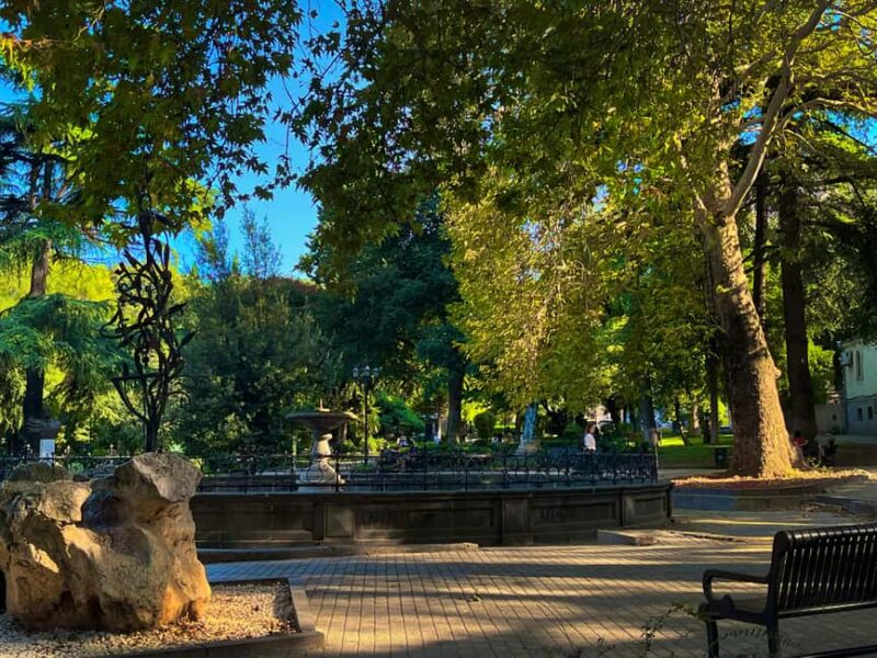 Tbilisi: Left and Right Banks of City - Culture & Local Life - Practical Details: Logistics and Group Size