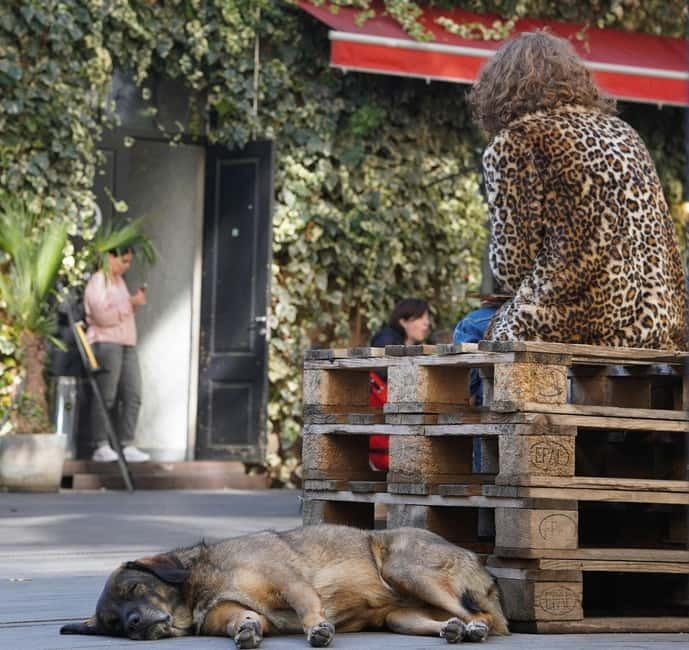 Tbilisi: Left Bank Alternative Street Food Tour with Drinks - Practical Details: Group Size, Booking, and Weather Considerations