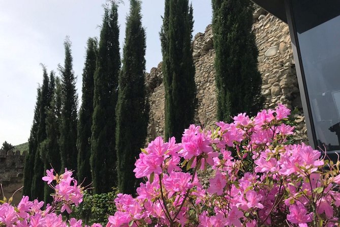 Tbilisi & Mtskheta bus tour hop on hop off - Flexibility and Pacing for Different Travel Styles