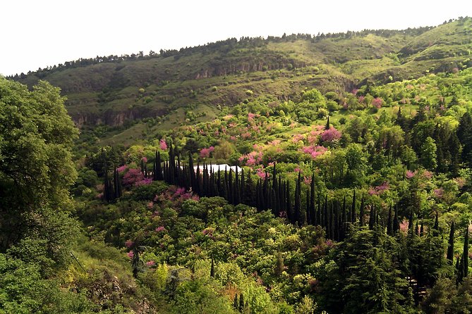 Tbilisi & Mtskheta city tour - Walking Through Abanot Ubani and the Bridge of Peace