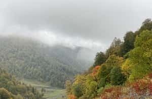 Tbilisi: Pankisi Gorge Horse Riding Tour with Dinner - Visiting a Local Family for Traditional Dinner