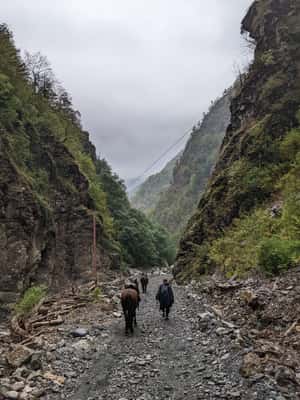 Tbilisi: Pankisi Gorge Horse Riding Tour with Dinner - Value for the Price and Similar Experiences