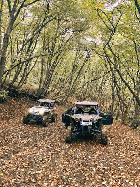 Tbilisi: Self Drive Guided Buggy Tour - Who Will Enjoy This Tour Most?