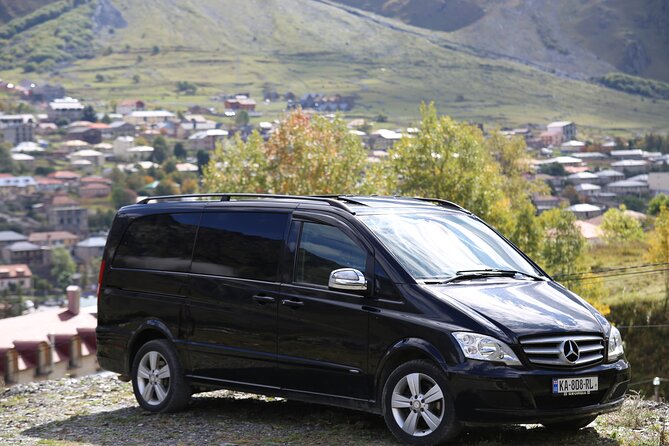 Tbilisi to Batumi and vice versa - Private VIP Transfer - Who Should Consider This Private Transfer?