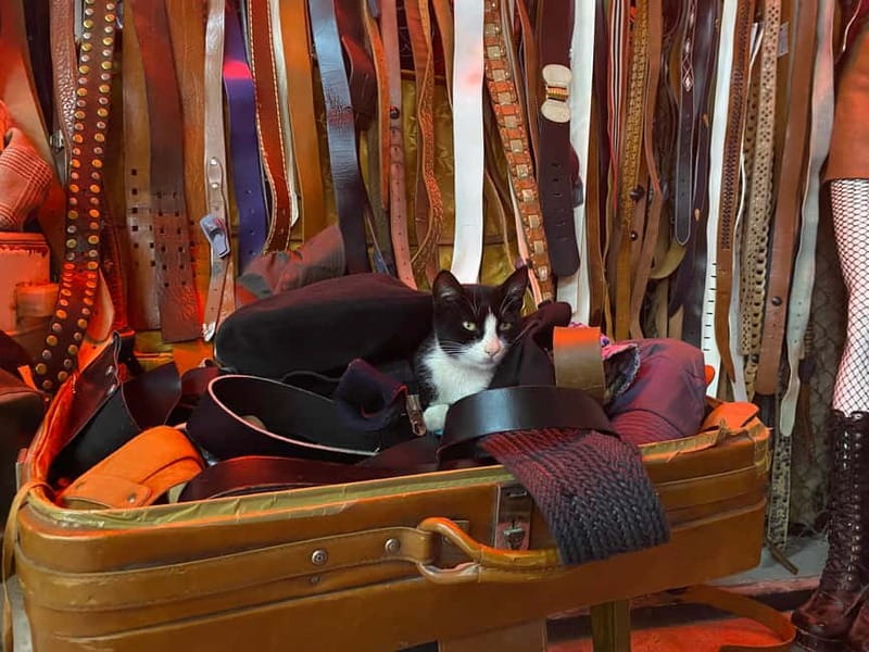 Tbilisi: Vintage Fashion and Secondhand Thrifting Tour - Fabrika Tbilisi: Combining Shopping, Sightseeing, and Urban Vibe