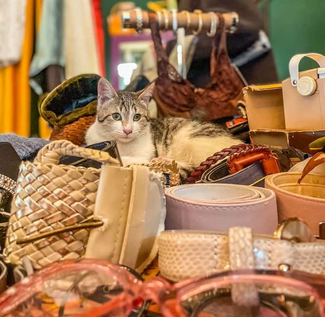 Tbilisi: Vintage Stores and Cafes Walking Tour with Coffee - Why You Should Consider This Vintage and Cafe Tour