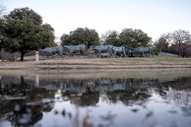 Tea Around Town Dallas: Sip and Savor the Sights - Limitations and Considerations